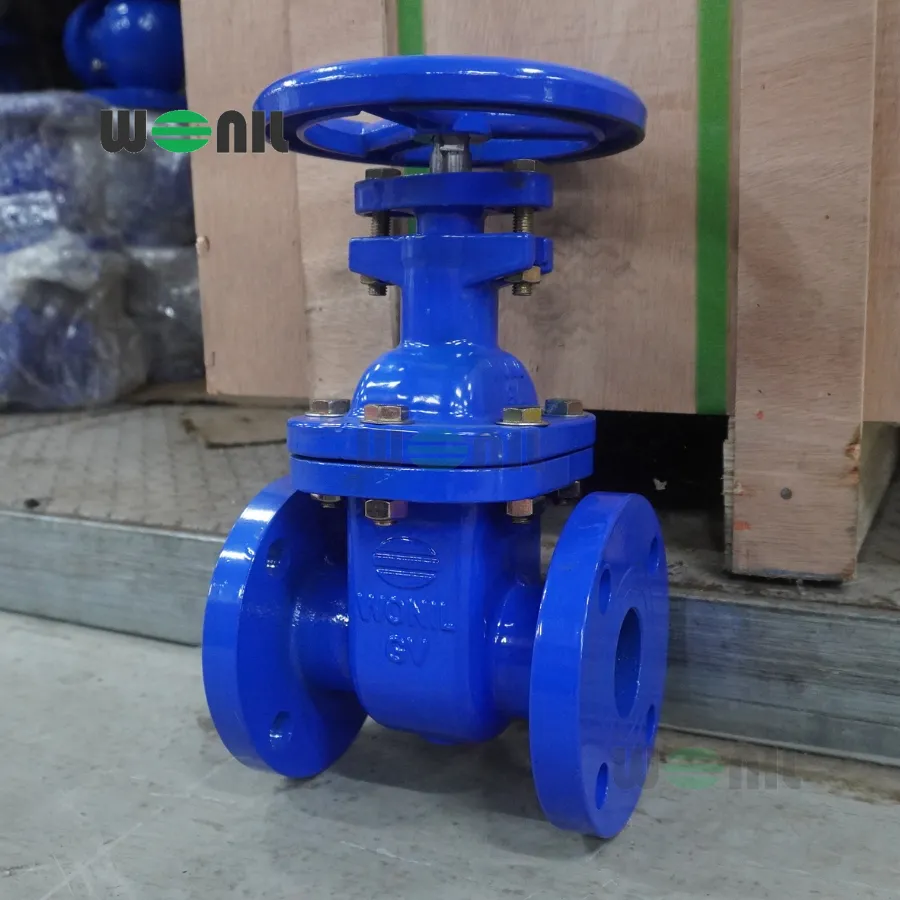 Van cổng Wonil ty chìm tay quay gang DN50