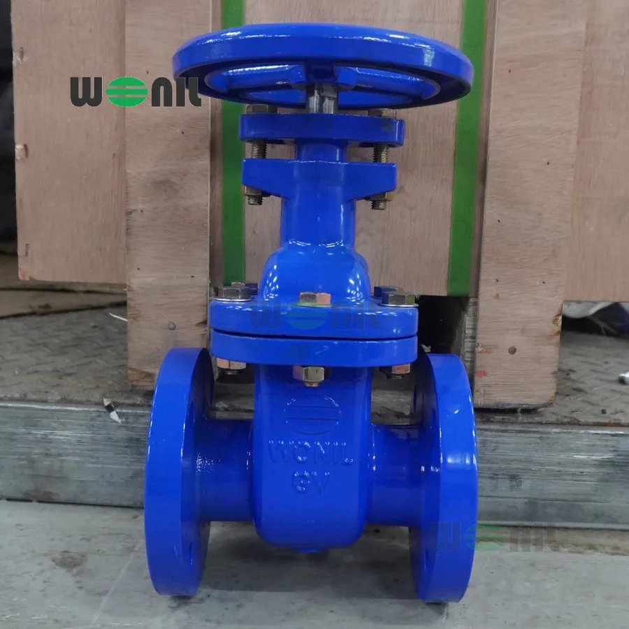 Van cổng Wonil ty chìm tay quay gang DN50