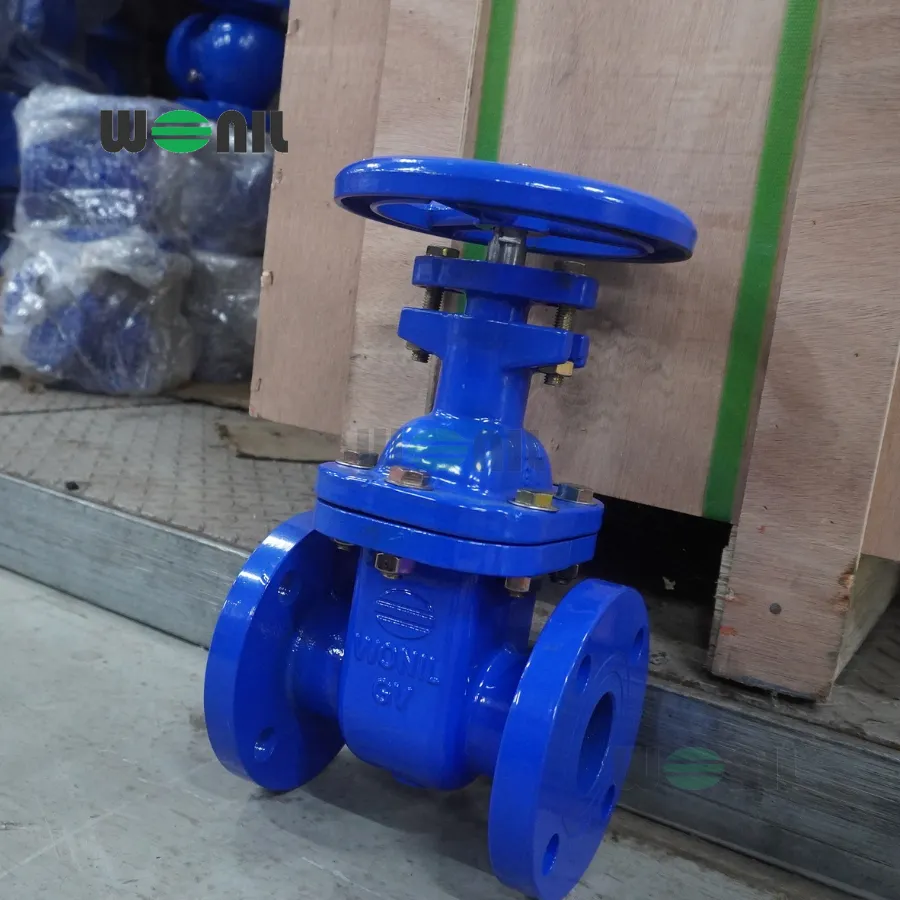 Van cổng Wonil ty chìm tay quay gang DN50