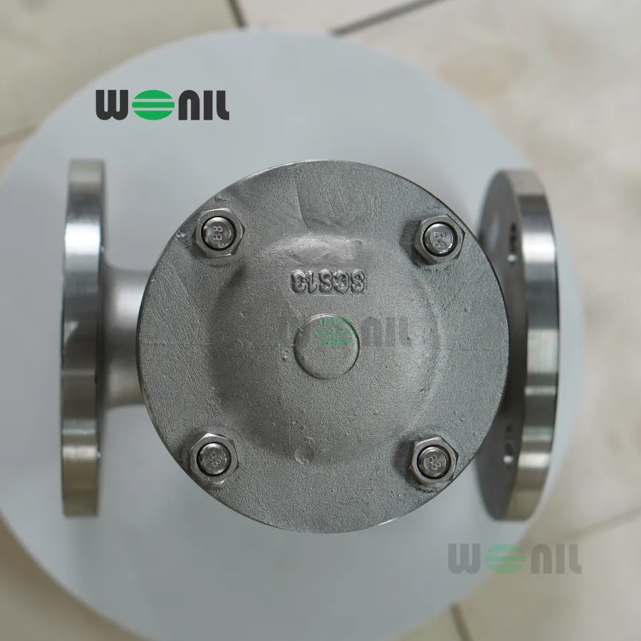 Van 1 chiều Wonil Lá Lật Mặt Bích Inox DN50 Van 1 chiều Wonil Lá Lật Mặt Bích Inox DN50