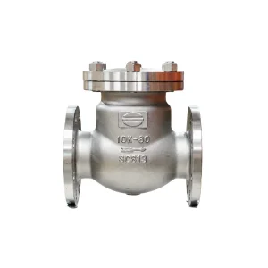 Van 1 chiều Wonil Lá Lật Mặt Bích Inox DN80 Van 1 chiều Wonil Lá Lật Mặt Bích Inox DN80