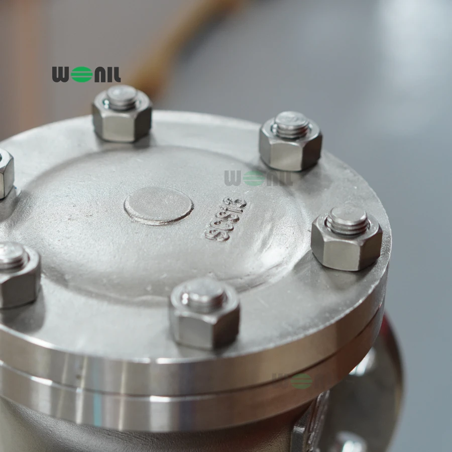 Van 1 chiều Wonil Lá Lật Mặt Bích Inox DN80 Ảnh thực tế Van 1 chiều Wonil Lá Lật Mặt Bích Inox DN80