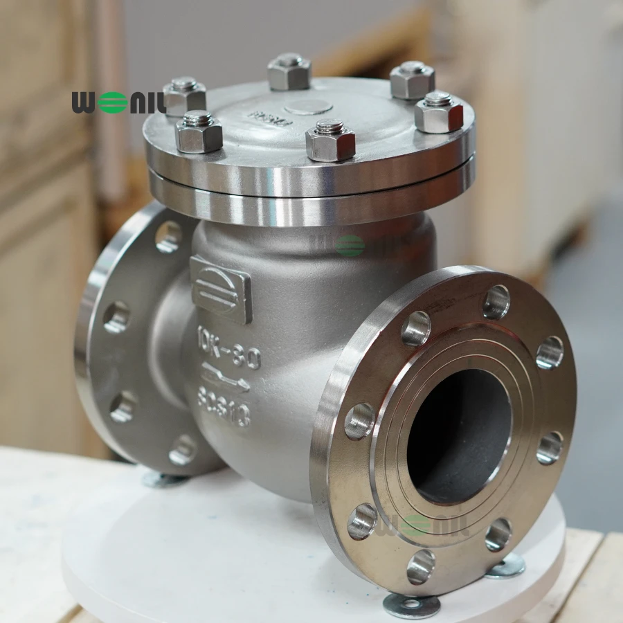 Van 1 chiều Wonil Lá Lật Mặt Bích Inox DN80 Ảnh thực tế Van 1 chiều Wonil Lá Lật Mặt Bích Inox DN80
