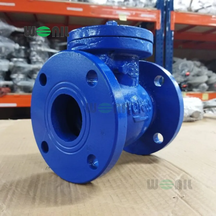 Van 1 chiều Wonil Lá Lật Mặt Bích Gang DN65 Van 1 chiều Wonil Lá Lật Mặt Bích Gang DN65