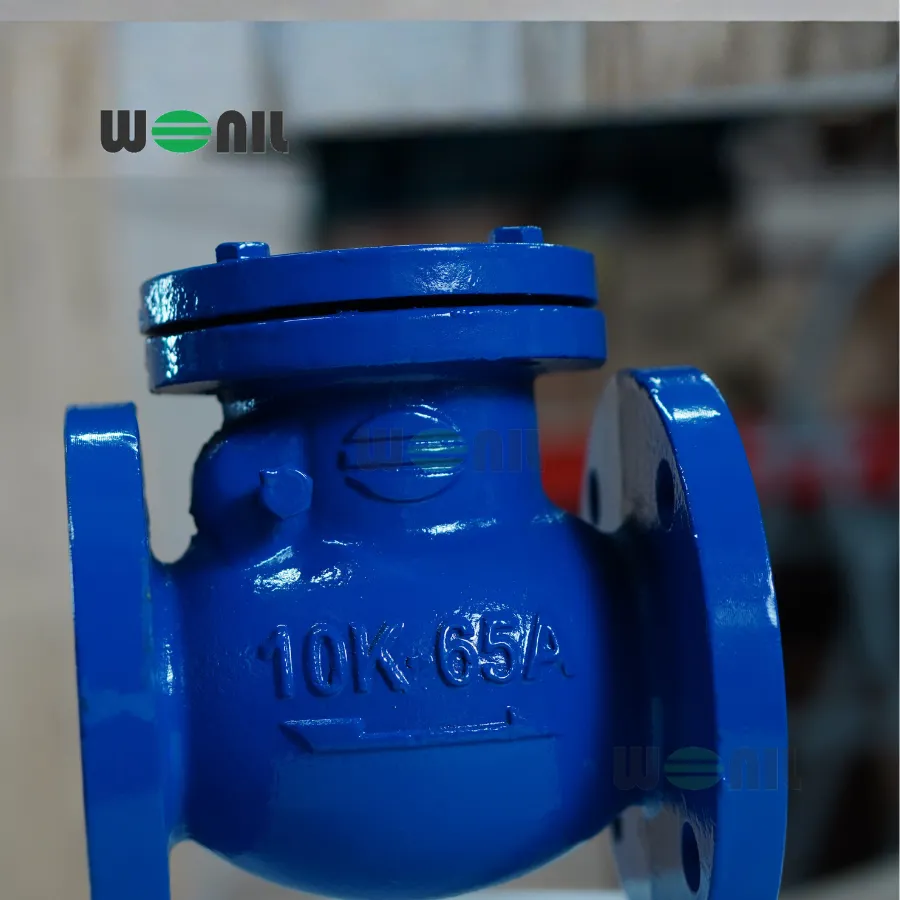 Van 1 chiều Wonil Lá Lật Mặt Bích Gang DN65 Van 1 chiều Wonil Lá Lật Mặt Bích Gang DN65