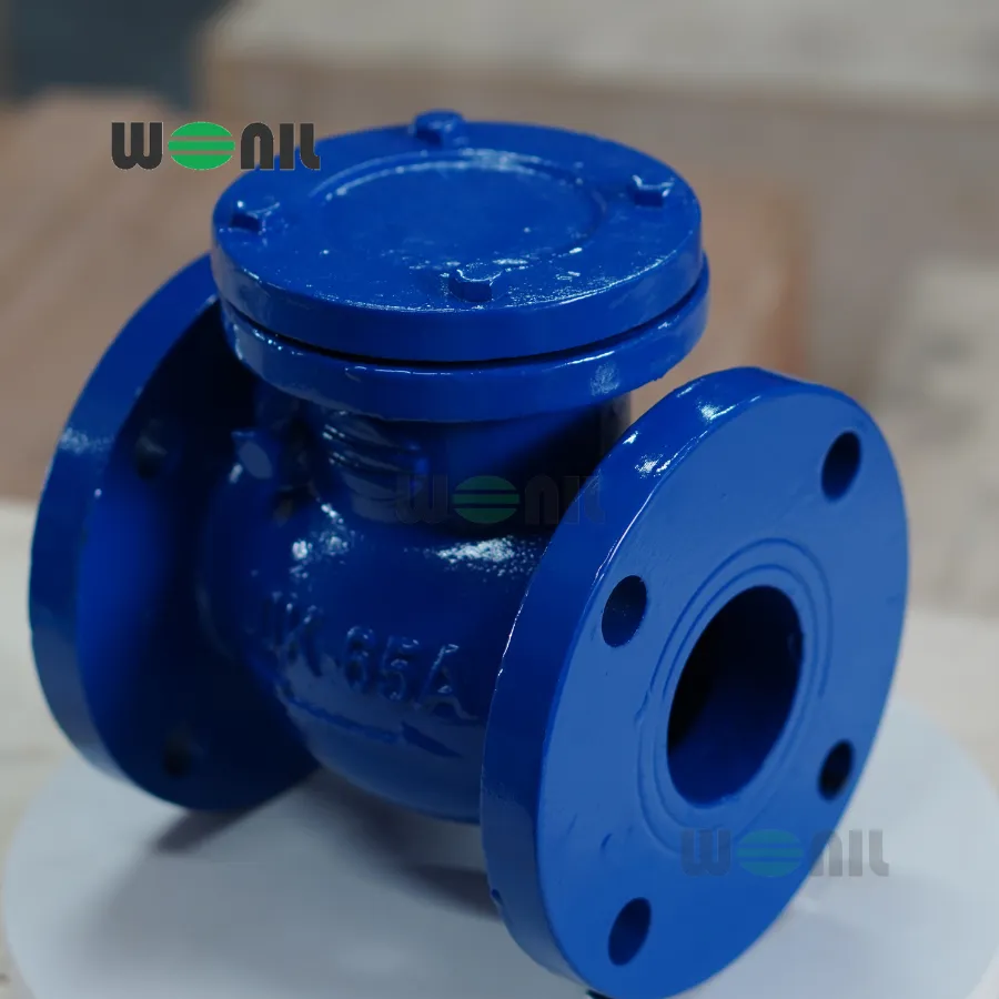 Van 1 chiều Wonil Lá Lật Mặt Bích Gang DN65 Van 1 chiều Wonil Lá Lật Mặt Bích Gang DN65