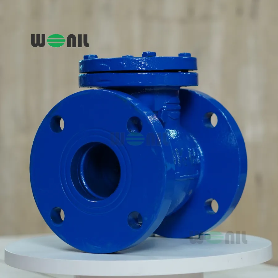 Van 1 chiều Wonil Lá Lật Mặt Bích Gang DN65 Van 1 chiều Wonil Lá Lật Mặt Bích Gang DN65