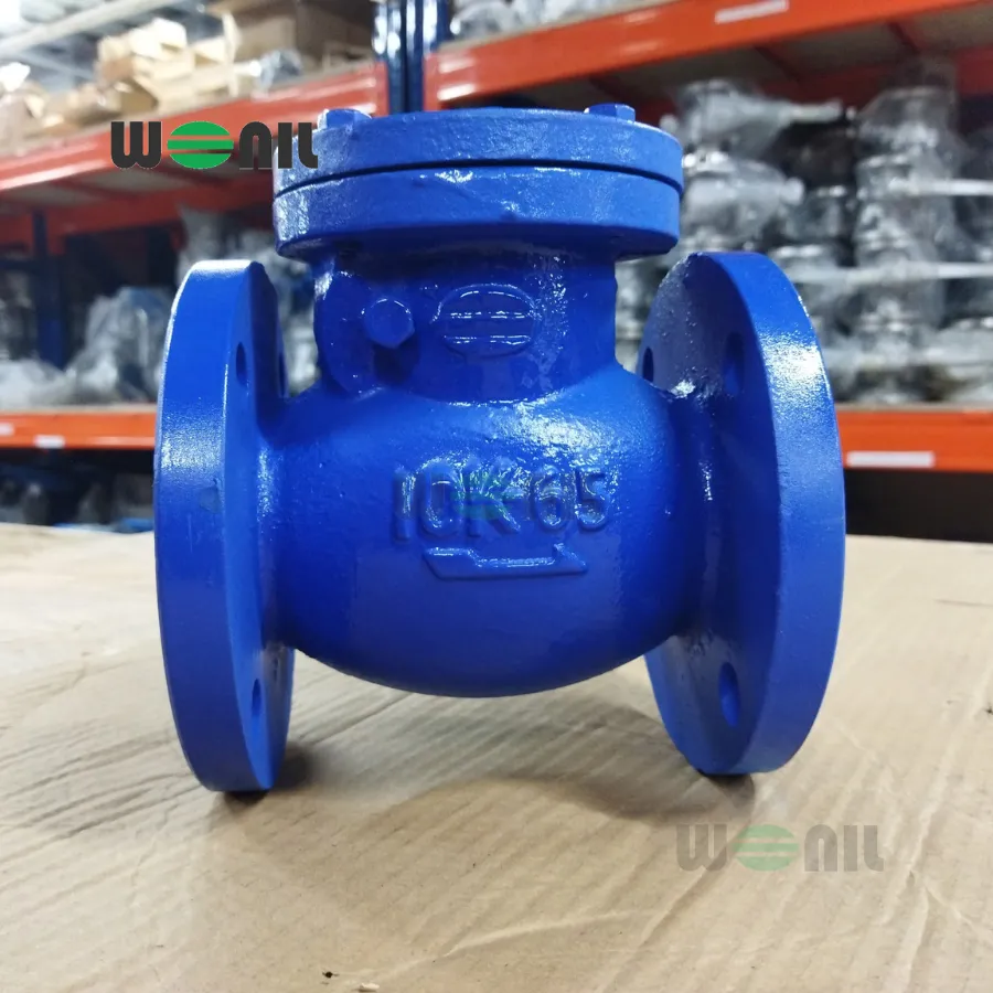 Van 1 chiều Wonil Lá Lật Mặt Bích Gang DN65 Van 1 chiều Wonil Lá Lật Mặt Bích Gang DN65