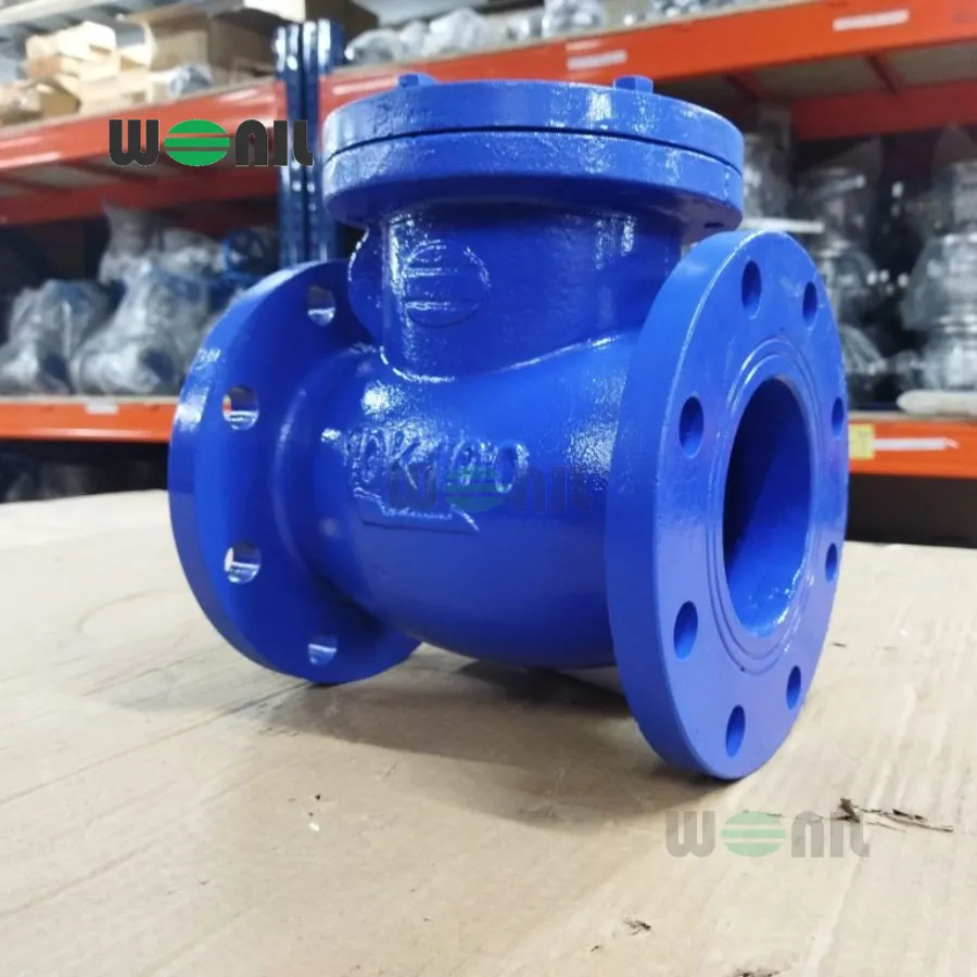 Van 1 chiều Wonil Lá Lật Mặt Bích Gang DN100 Van 1 chiều Wonil Lá Lật Mặt Bích Gang DN100