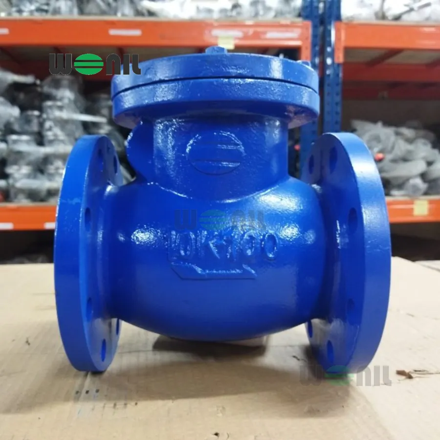 Van 1 chiều Wonil Lá Lật Mặt Bích Gang DN100 Van 1 chiều Wonil Lá Lật Mặt Bích Gang DN100