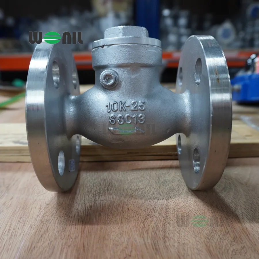 Van 1 chiều Wonil Lá Lật Mặt Bích Inox DN25 Van 1 chiều Wonil Lá Lật Mặt Bích Inox DN25