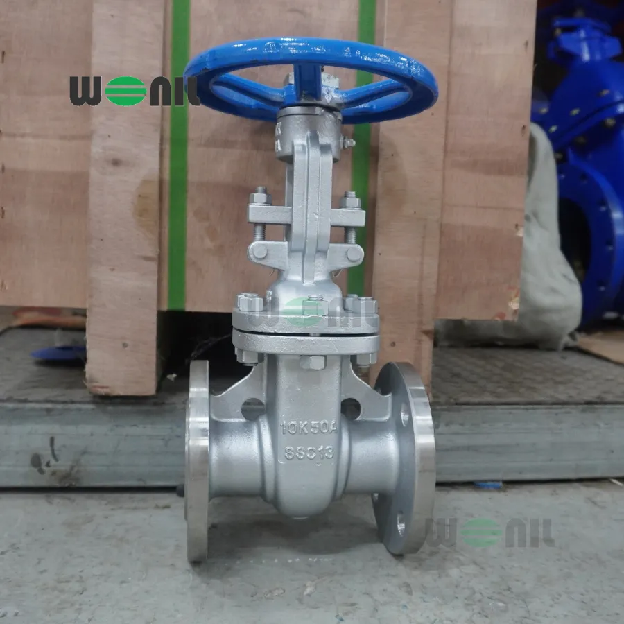 Van Cổng Wonil Ty Nổi Tay Quay Inox DN50