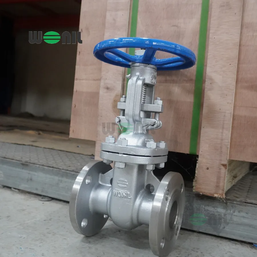 Van Cổng Wonil Ty Nổi Tay Quay Inox DN50