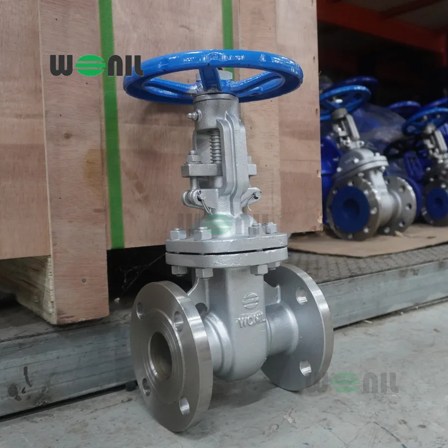 Van Cổng Wonil Ty Nổi Tay Quay Inox DN50