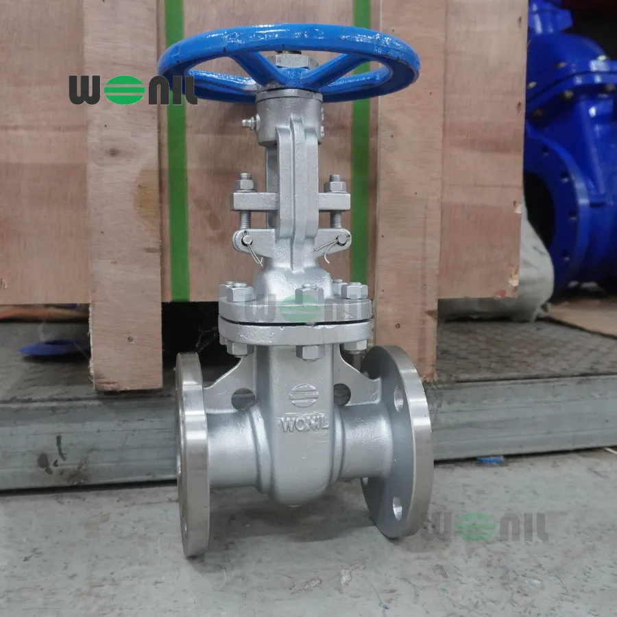 Van Cổng Wonil Ty Nổi Tay Quay Inox DN50