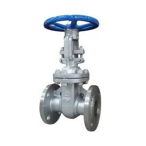 Van Cổng Wonil Ty Nổi Tay Quay Inox DN50