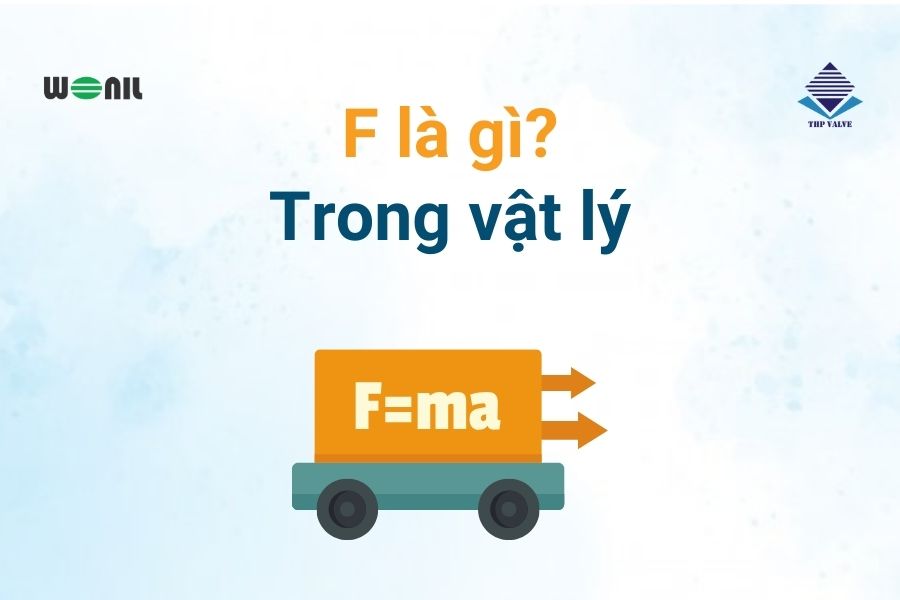 Trong Vật Lý F Là Gì? Tìm Hiểu Chi Tiết Về Lực F và Ứng Dụng