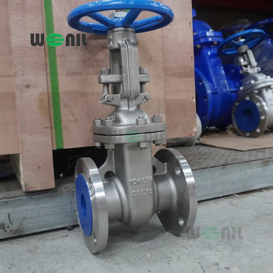 Van Cổng Wonil Ty Nổi Tay Quay Inox DN65