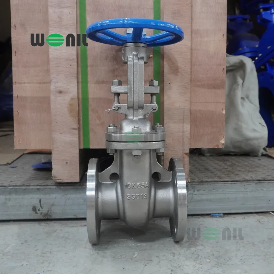 Van Cổng Wonil Ty Nổi Tay Quay Inox DN65