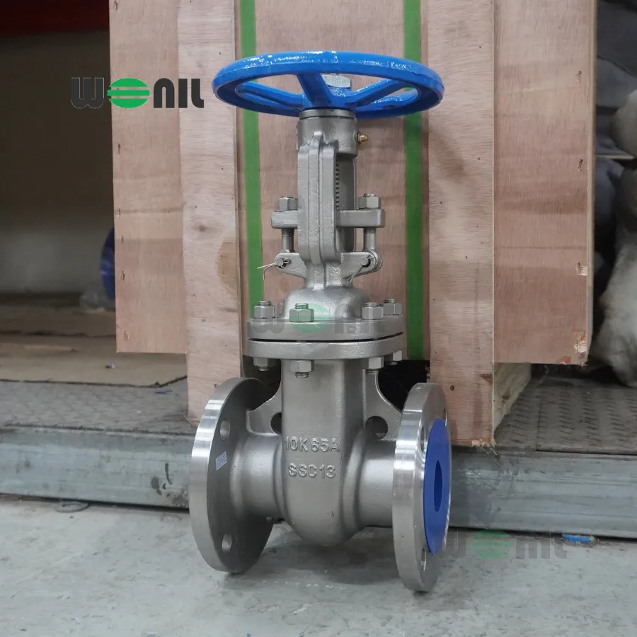 Van Cổng Wonil Ty Nổi Tay Quay Inox DN65