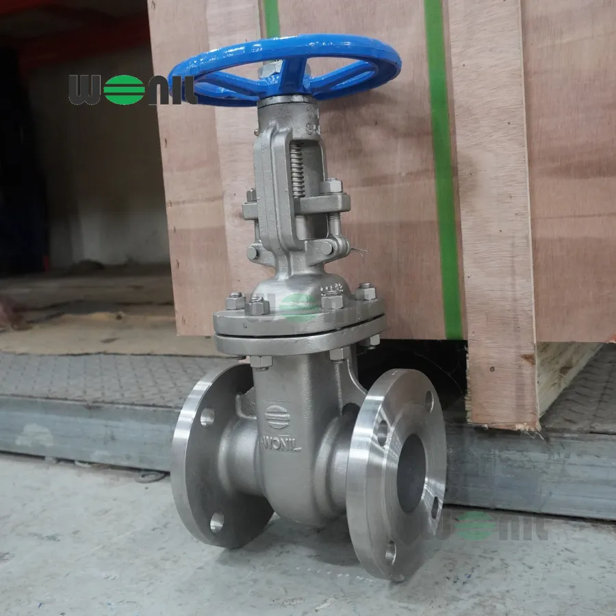Van Cổng Wonil Ty Nổi Tay Quay Inox DN65