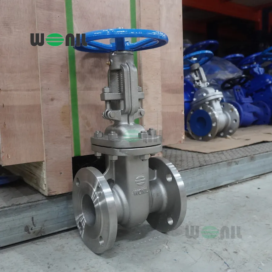 Van Cổng Wonil Ty Nổi Tay Quay Inox DN65