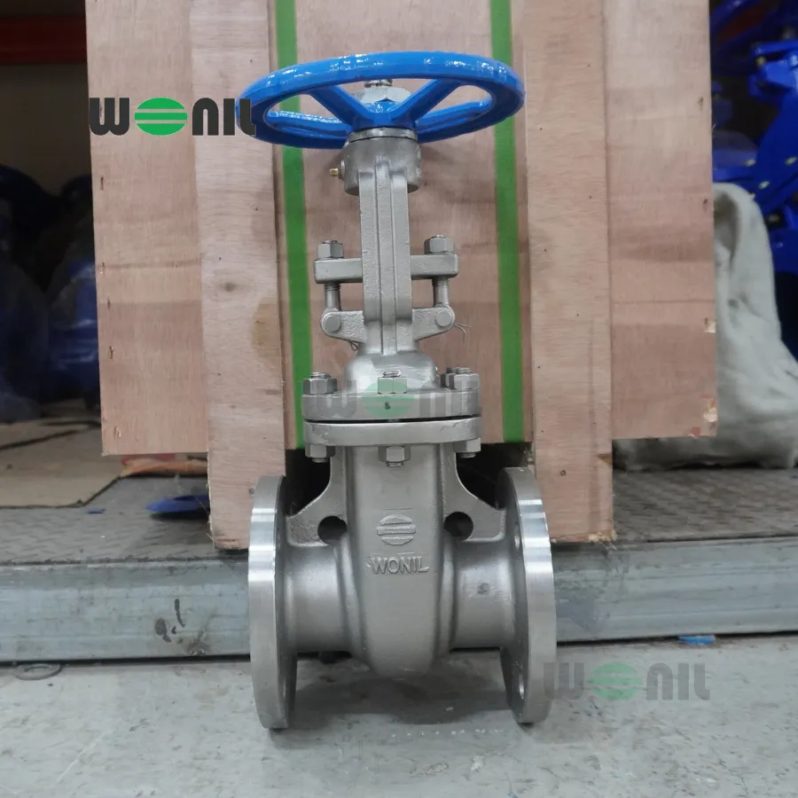 Van Cổng Wonil Ty Nổi Tay Quay Inox DN65