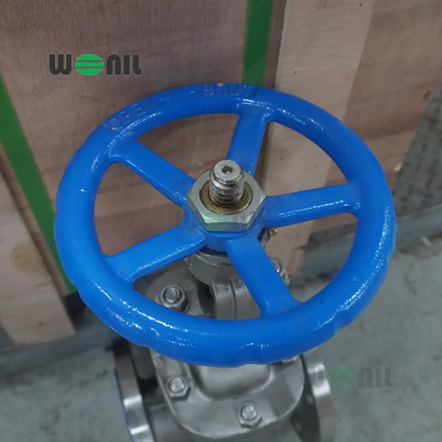 Van Cổng Wonil Ty Nổi Tay Quay Inox DN65