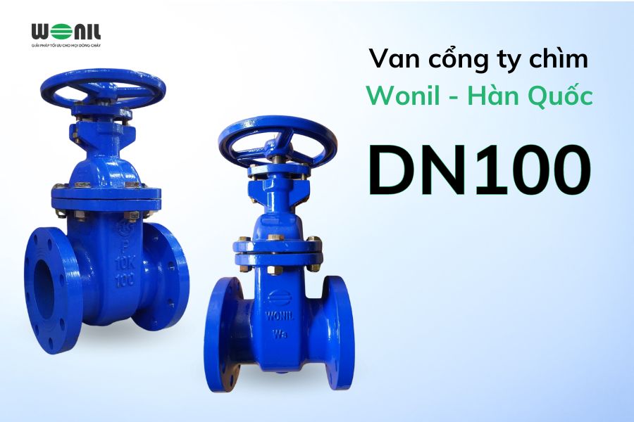 van cổng ty chìm DN100 Wonil