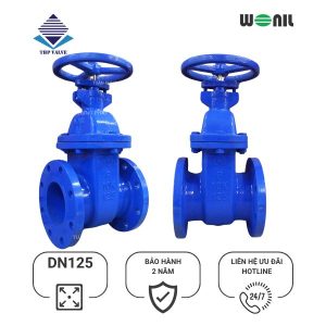 Van cổng Wonil gang ty chìm DN125