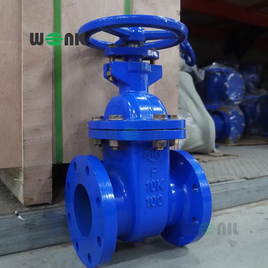 Van cổng Wonil ty chìm tay quay gang DN100