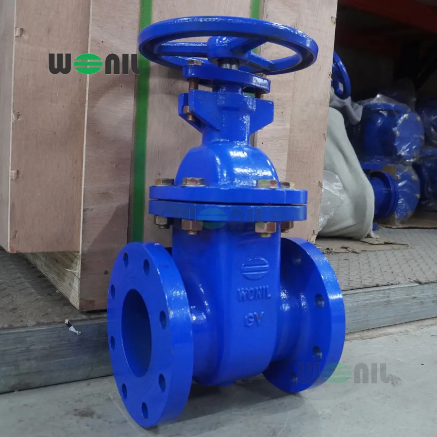 Van cổng Wonil ty chìm tay quay gang DN100