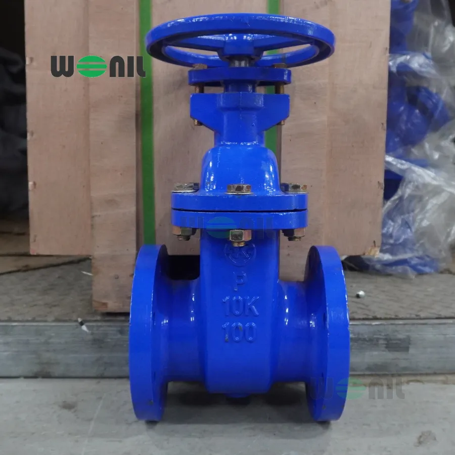 Van cổng Wonil ty chìm tay quay gang DN100