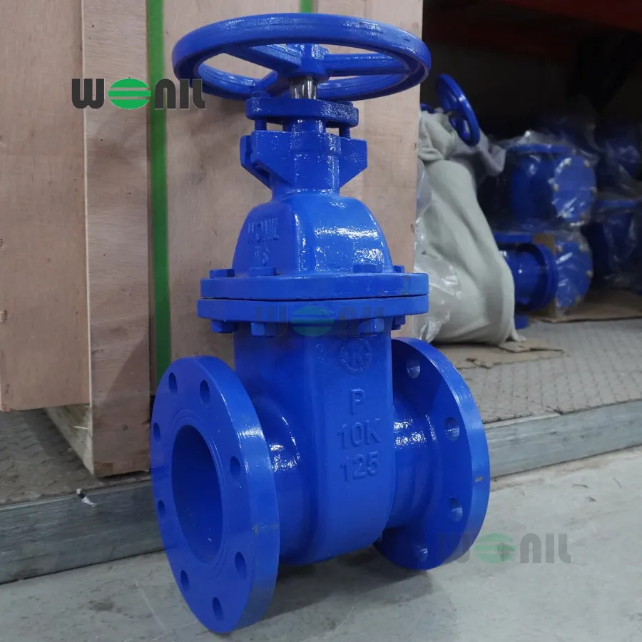 Van cổng Wonil ty chìm tay quay gang DN125