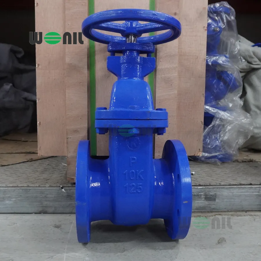 Van cổng Wonil ty chìm tay quay gang DN125
