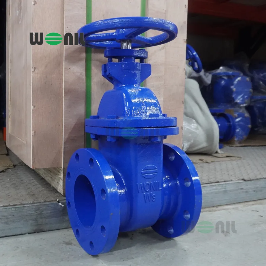 Van cổng Wonil ty chìm tay quay gang DN125
