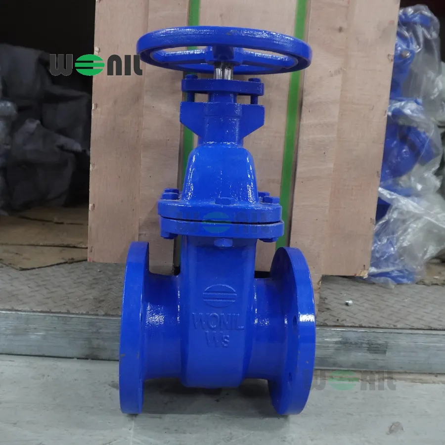 Van cổng Wonil ty chìm tay quay gang DN125