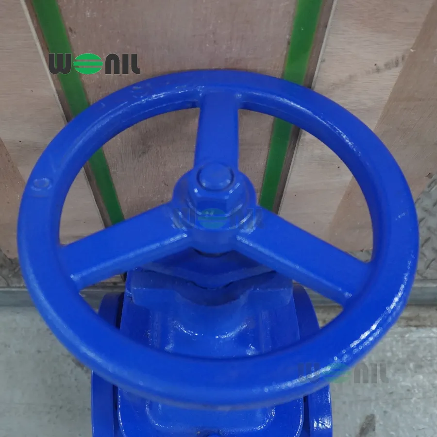 Van cổng Wonil ty chìm tay quay gang DN125