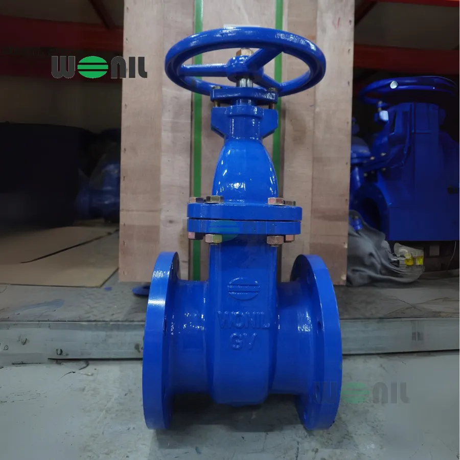 Van cổng Wonil ty chìm tay quay gang DN150