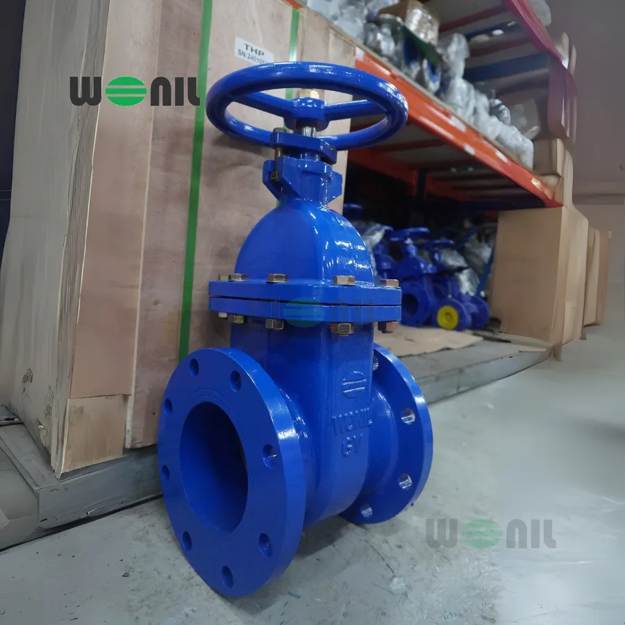 Van cổng Wonil ty chìm tay quay gang DN150