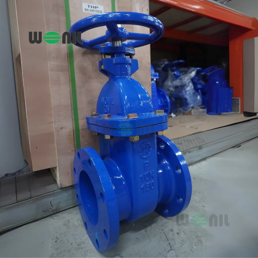 Van cổng Wonil ty chìm tay quay gang DN150