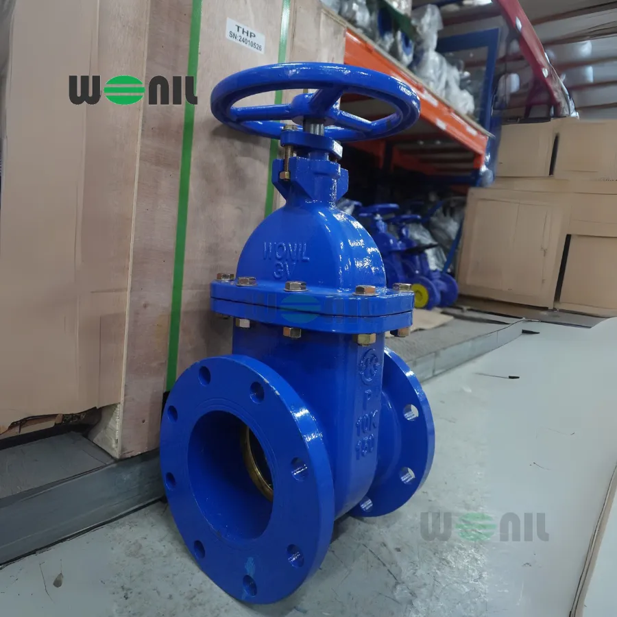 Van cổng Wonil ty chìm tay quay gang DN150