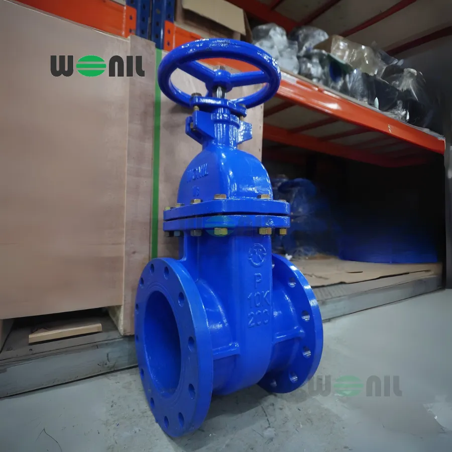 Van cổng Wonil ty chìm tay quay gang DN200