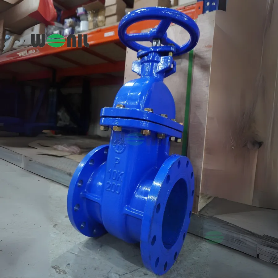 Van cổng Wonil ty chìm tay quay gang DN200