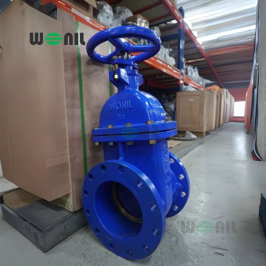 Van cổng Wonil ty chìm tay quay gang DN200