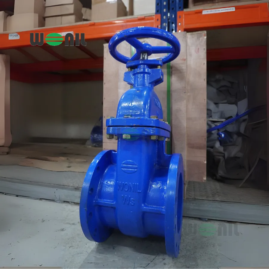 Van cổng Wonil ty chìm tay quay gang DN200