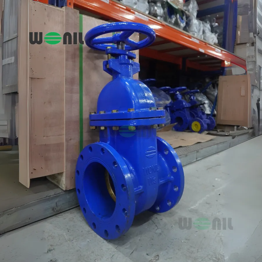 Van cổng Wonil ty chìm tay quay gang DN200