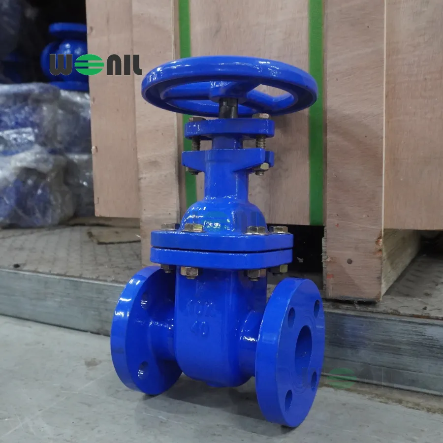 van cổng Wonil ty chìm tay quay gang DN40