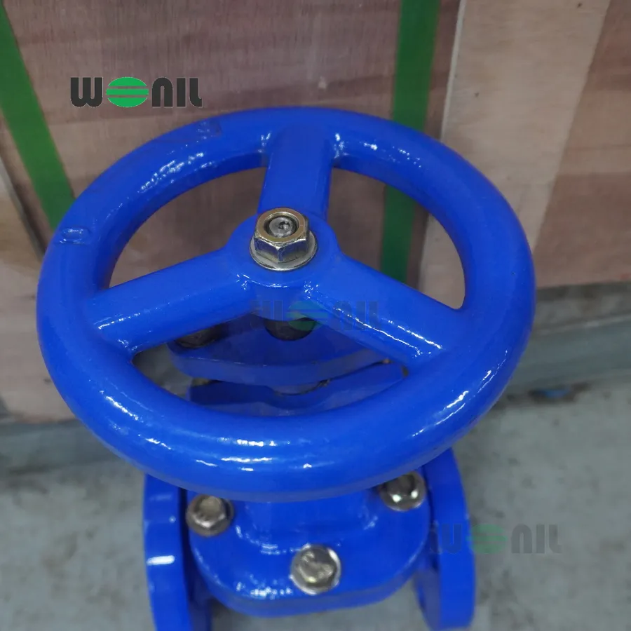 van cổng Wonil ty chìm tay quay gang DN40