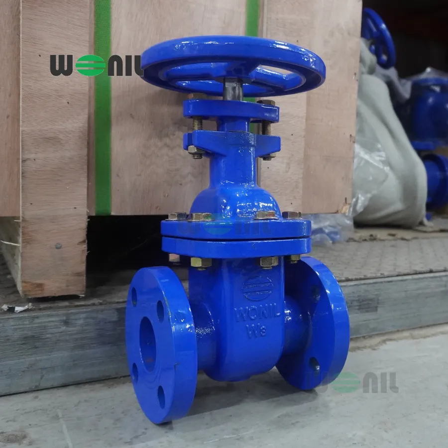 van cổng Wonil ty chìm tay quay gang DN40